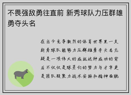 不畏强敌勇往直前 新秀球队力压群雄勇夺头名